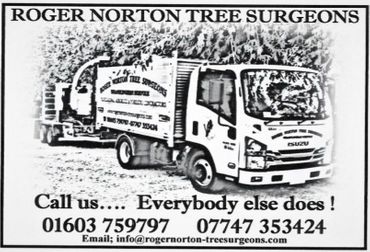 07. roger.norton.tree.surgeon