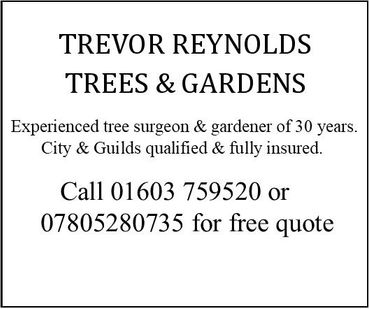 08. trevor.reynolds.trees.and.